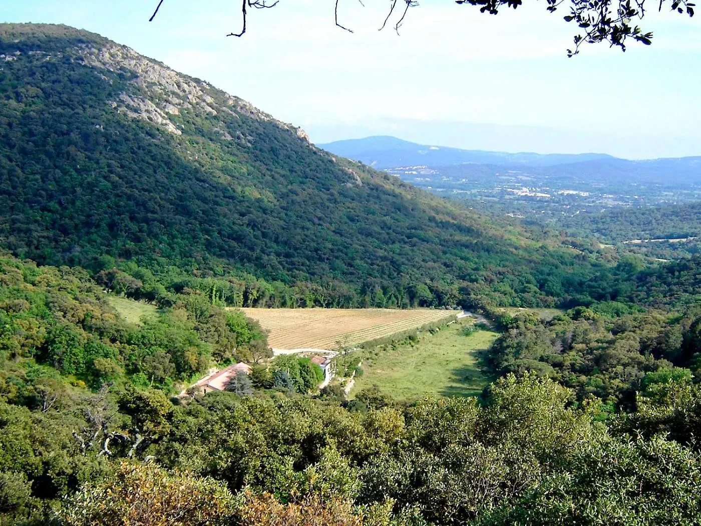 Appartement Pleine Nature 2Pers - A3 Grimaud Frankrijk