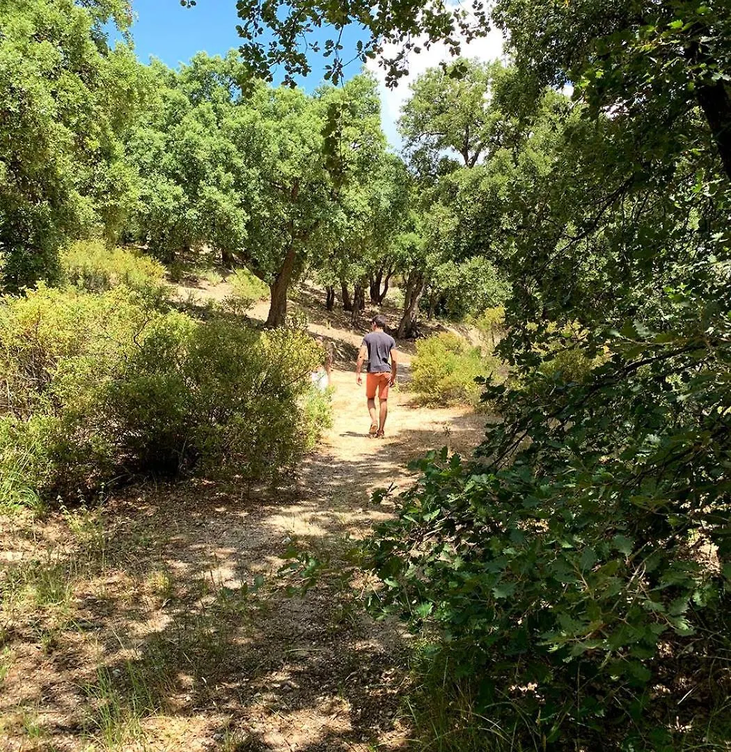 Appartement Pleine Nature 2Pers - A3 Grimaud Frankrijk