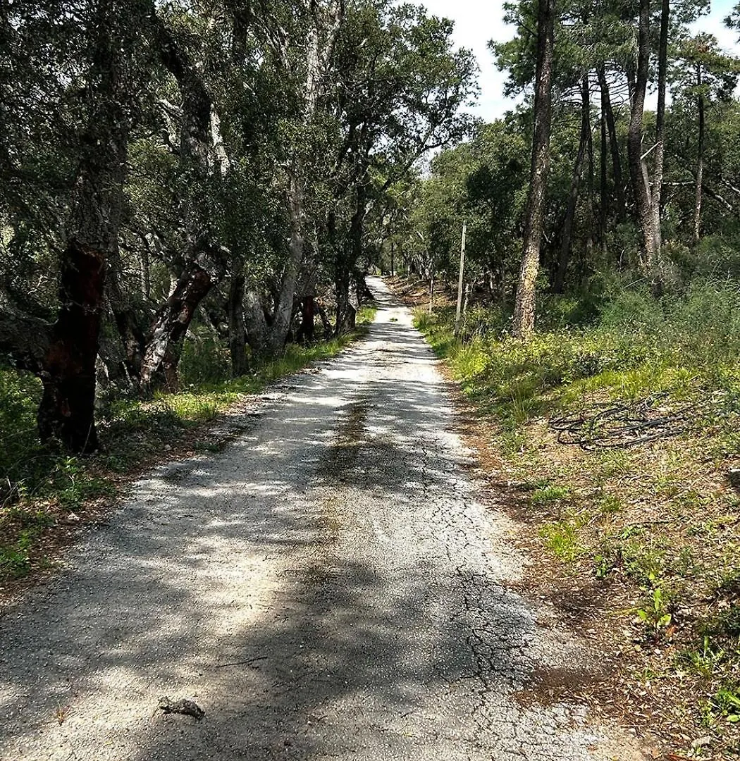 Appartement Pleine Nature 2Pers - A3 Grimaud France