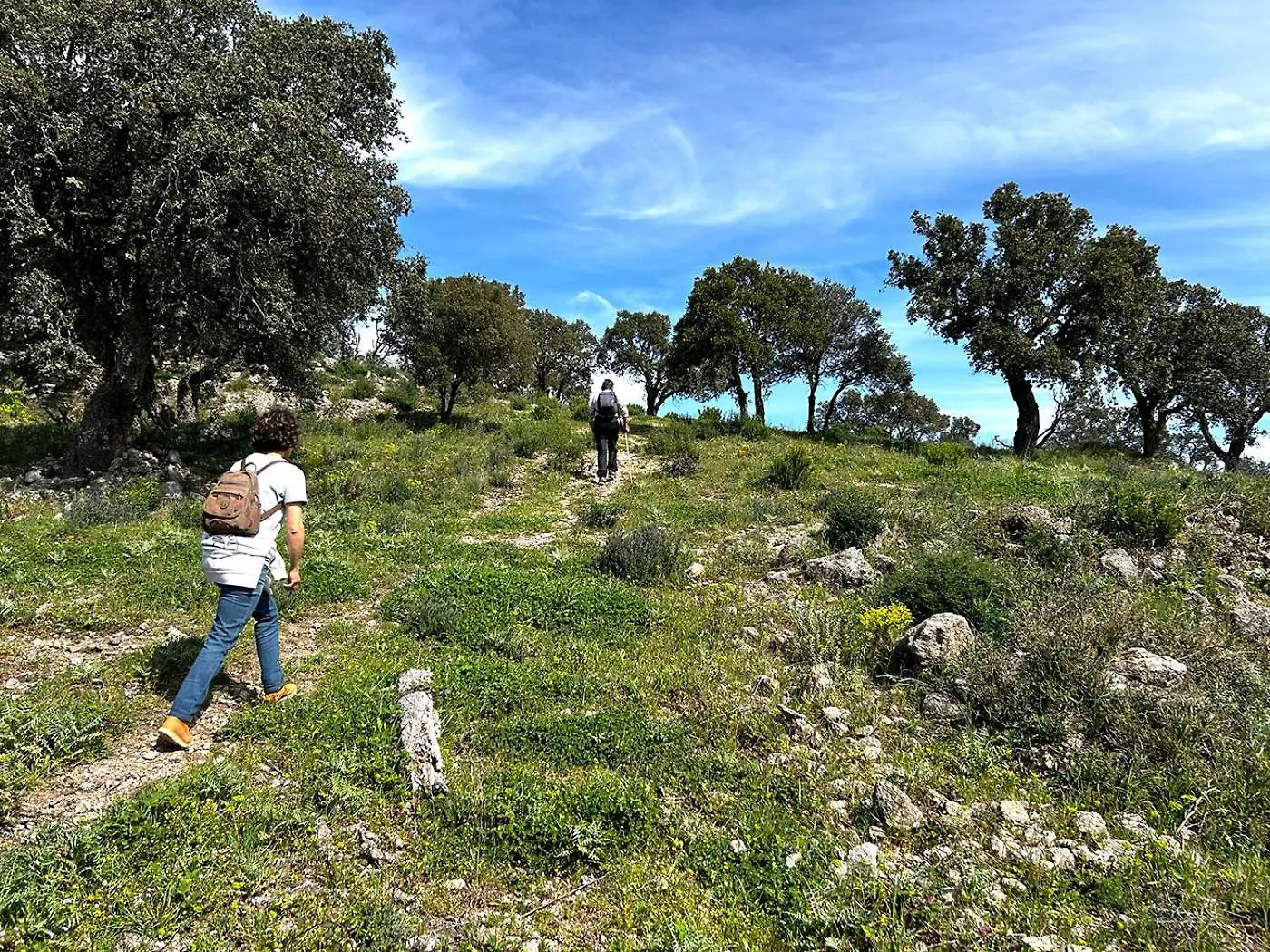 Apartment Appartement Pleine Nature 2Pers - A3 Grimaud